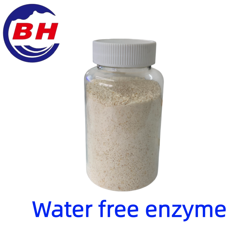 Vattenfritt enzym H8811